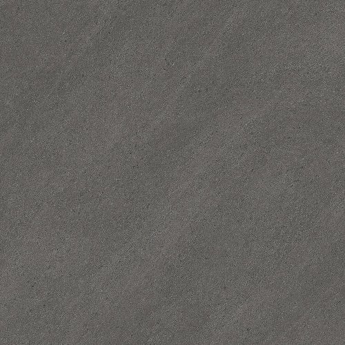 BM019