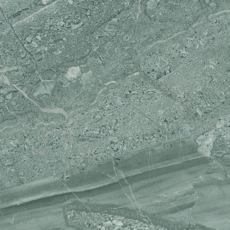 BM004-e1740498711370[1].jpg