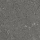 PM009_NEW