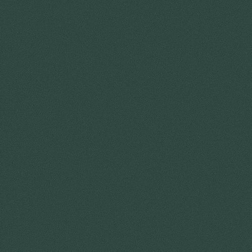 RS127