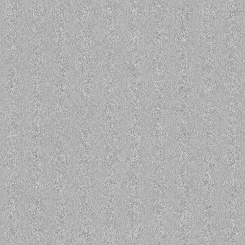 MS01