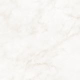 PM019