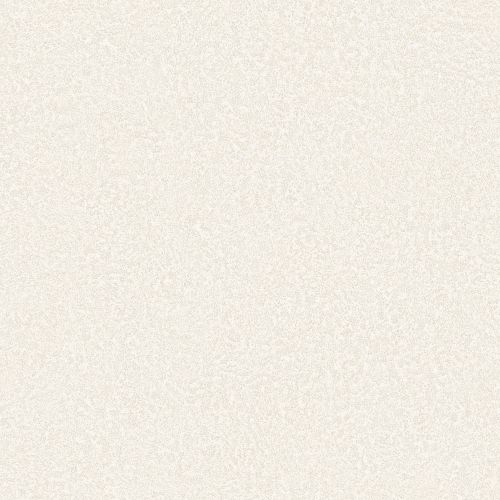 BLC02_NEW